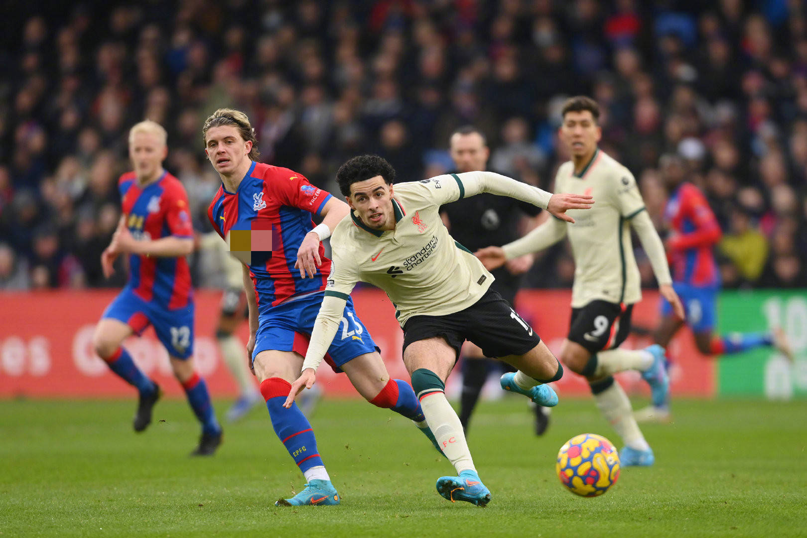 也为传统文 也为传统文