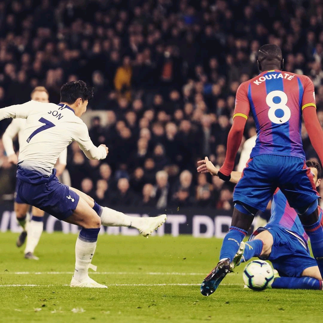 鄭智本赛季 鄭智本赛季